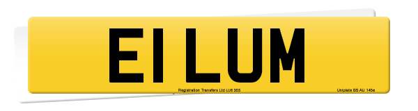 Registration number E1 LUM